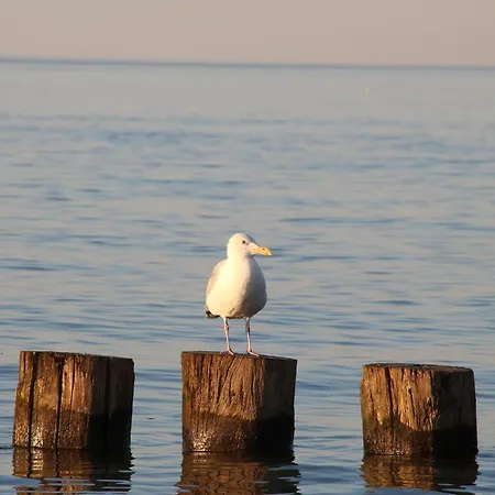 Seaside Comfort In Poel Apartman *